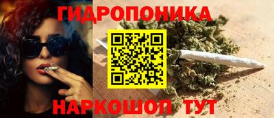 хмурый Гудермес