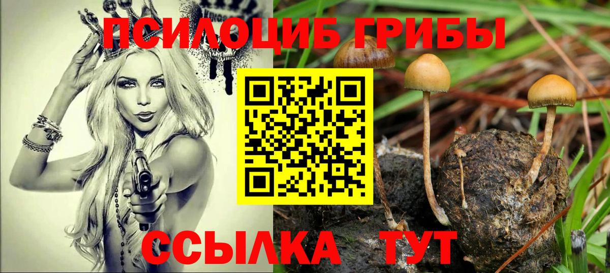 Галлюциногенные грибы мицелий  Вход с VPN  как найти закладки  Бийск 